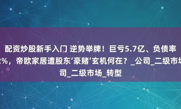 配资炒股新手入门 逆势举牌！巨亏5.7亿、负债率飙至72%，帝欧家居遭股东‘豪赌’玄机何在？_公司_二级市场_转型