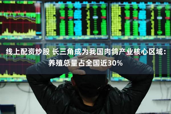 线上配资炒股 长三角成为我国肉鸽产业核心区域：养殖总量占全国近30%